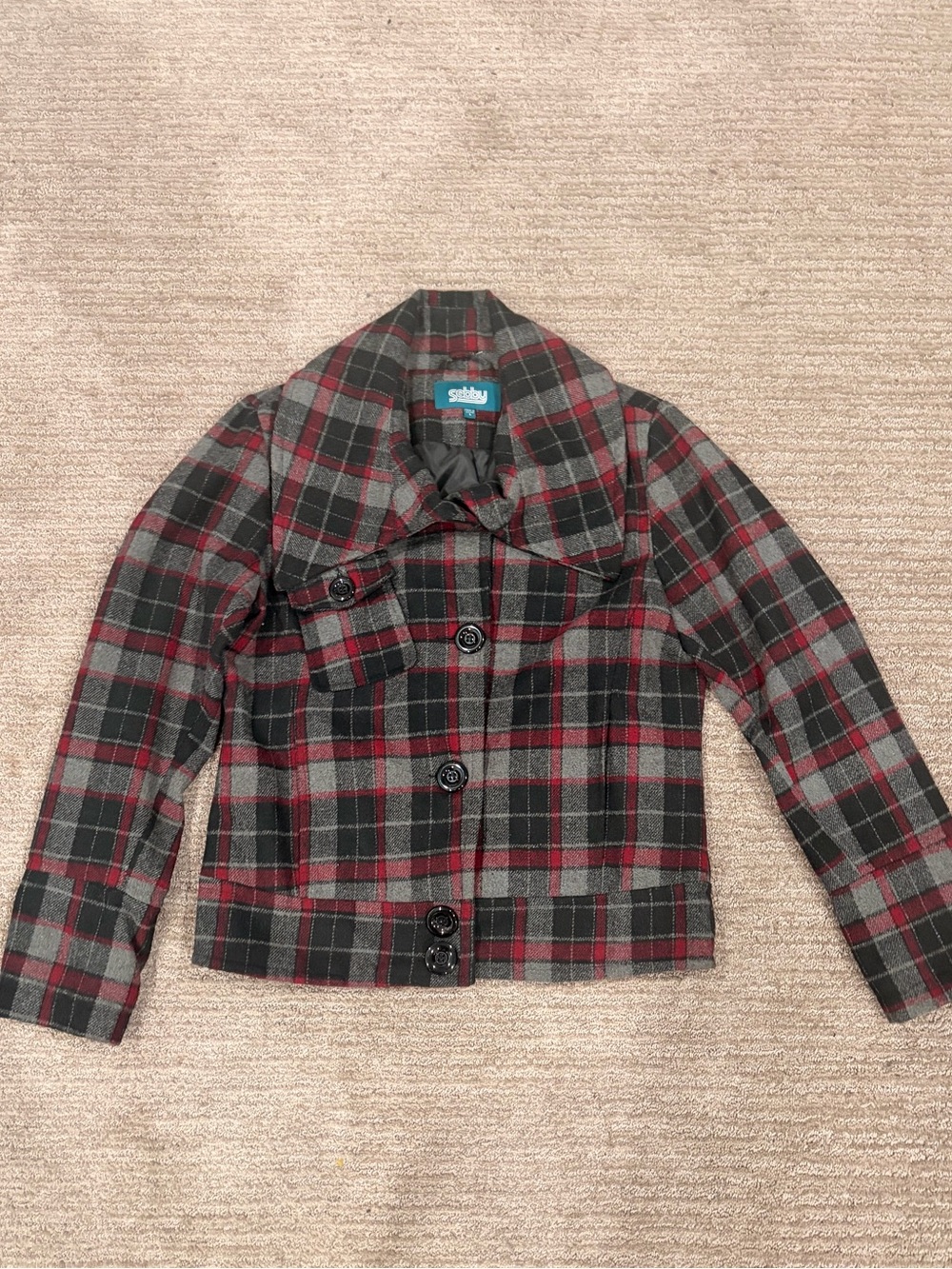 Red & Gray Plaid Jacket
